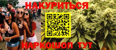 гашик Кандалакша