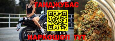 гашик Кандалакша