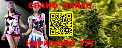 гашик Кандалакша