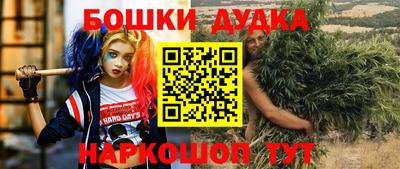 гашик Кандалакша